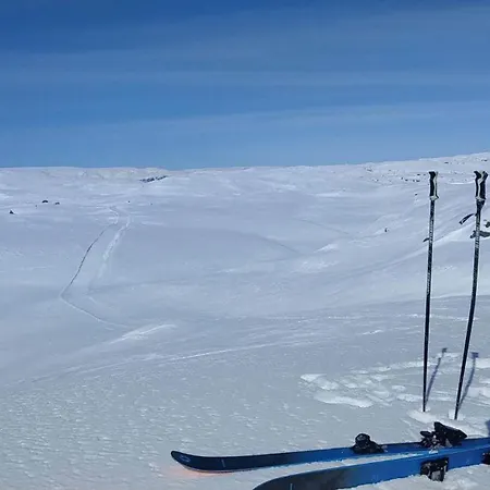 Roldal A With A View