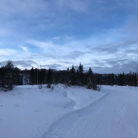 Roldal A With A View Horre