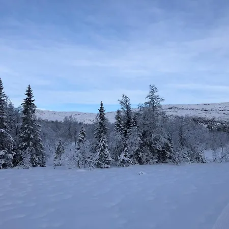 Holiday home Roldal A With A View *